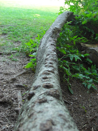 20090728_0060