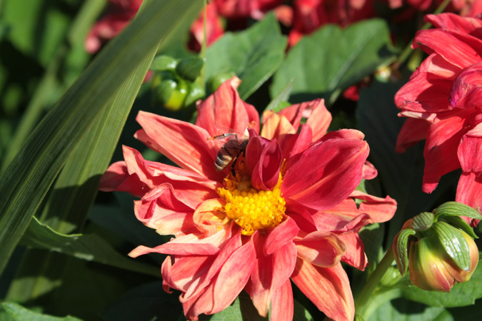 20090730_0489